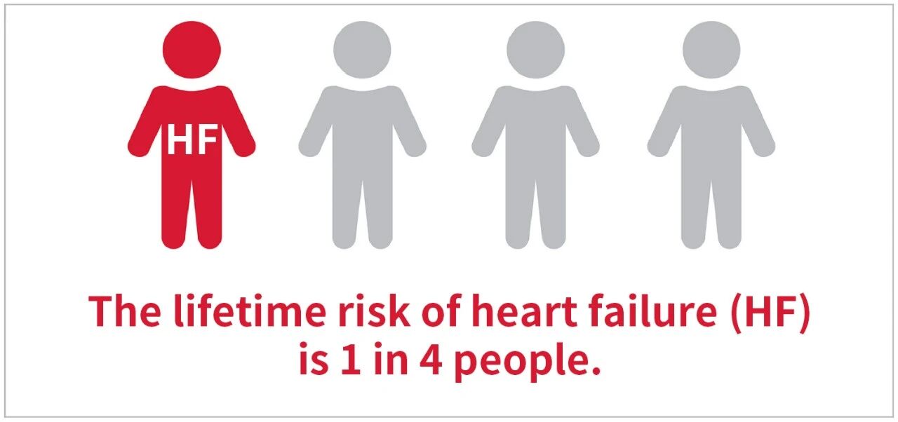 新品上市 | 心衰诊断双保障——聚焦心衰精准诊断，玖鼎集团从未止步！